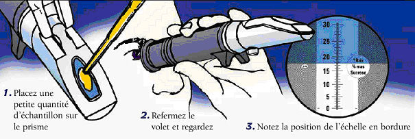 Mesure de l’indice de réfraction pour les laboratoires et l’industrie Réfractomètres manuels universels, sans entretien .La compensation automatique de la température ("ATC") permet des mesures exactes à différentes températures. Ils servent à déterminer la teneur en sucre des aliments, surtout les fruits, les légumes, les jus et les boissons sucrées. pour surveiller les processus industriels (surveillance des lubrifiants réfrigérants, huiles et graisses). 